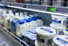 <b>2026年食物平安范畴专项证书食物平安总监细致报</b>