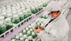 统筹成长“四个农业”