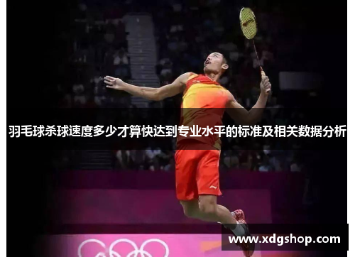 羽毛球杀球速度多少才算快达到专业水平的标准及相关数据分析